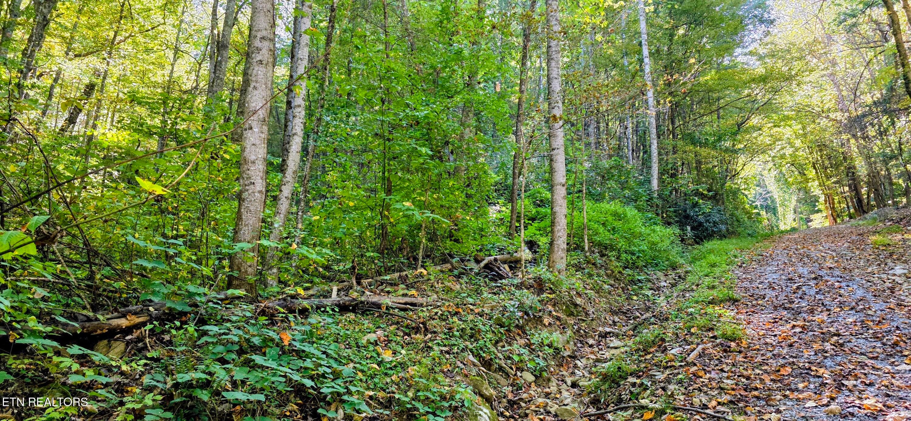 Balsam Slopes Rd, Sevierville, TN 37862