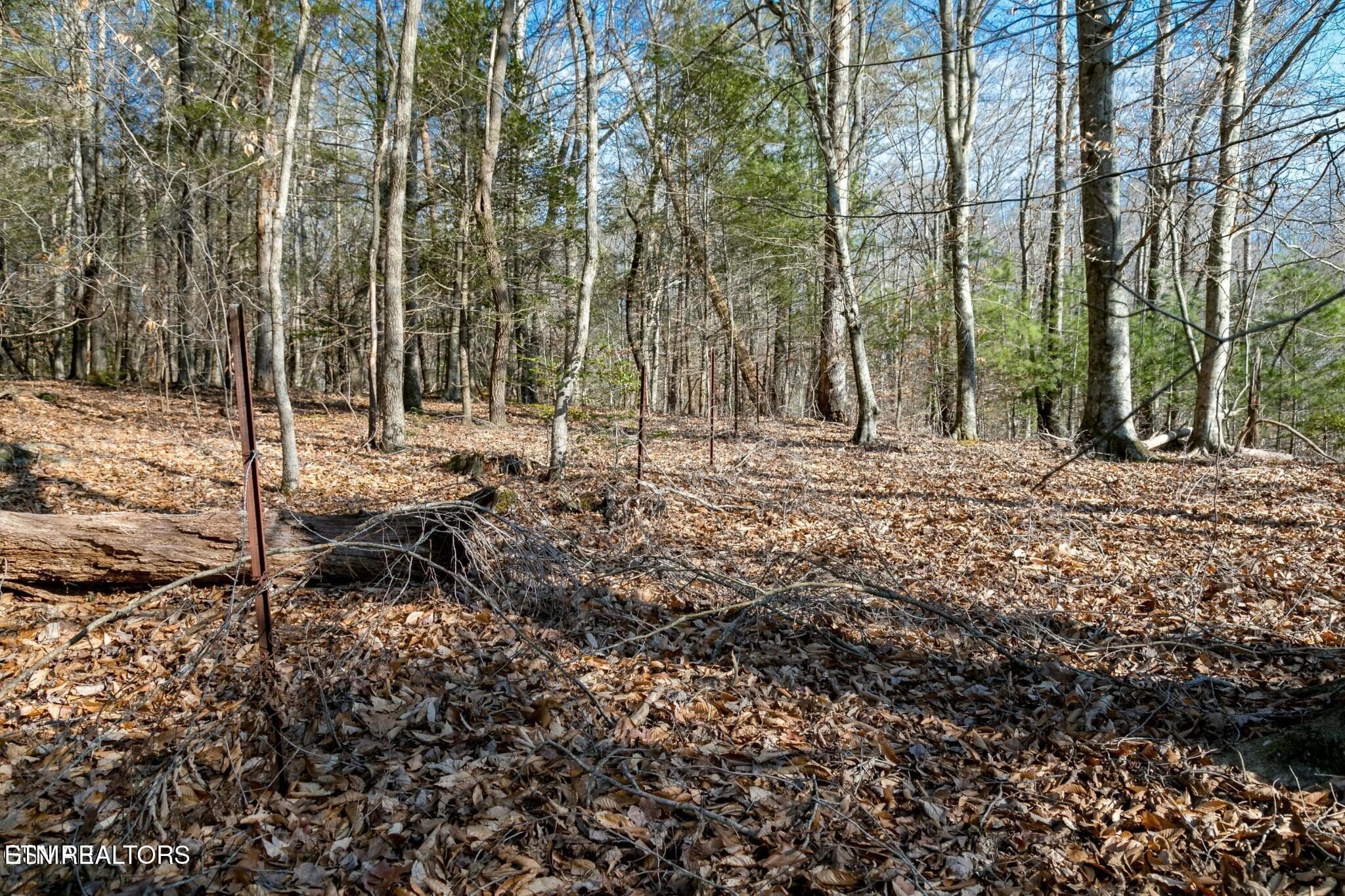 151474995-hr - Lot 10 Tarwater Lane, Sevierville, TN 37862