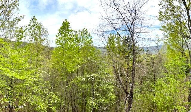 View from porch 1 - 1889 Natures Lane, Sevierville, TN 37862