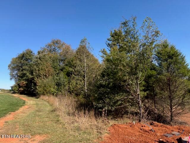 IMG_0006 - 156 Nunyu Tr, Vonore, TN 37885