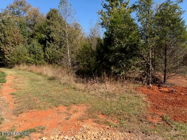 IMG_0008 - 156 Nunyu Tr, Vonore, TN 37885