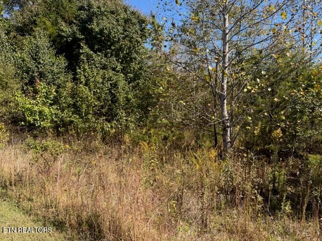 IMG_0011 - 156 Nunyu Tr, Vonore, TN 37885