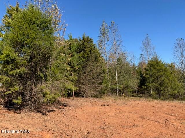 IMG_0009 - 156 Nunyu Tr, Vonore, TN 37885