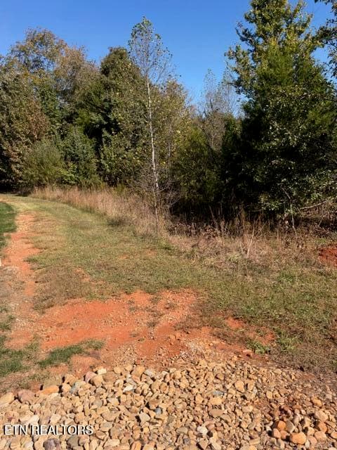IMG_0007 - 156 Nunyu Tr, Vonore, TN 37885
