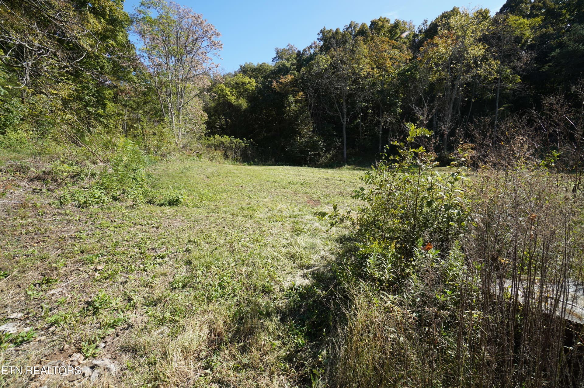 913 brotherton (3) - 913 Brotherton Rd, Jefferson City, TN 37760