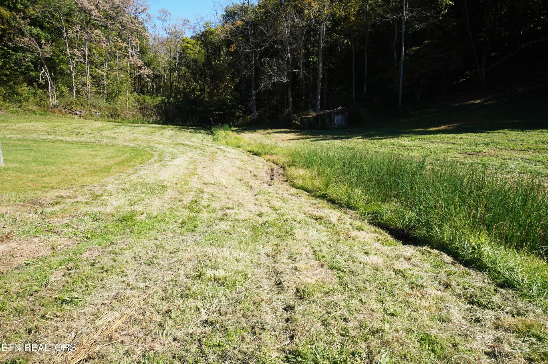 913 brotherton (23) - 913 Brotherton Rd, Jefferson City, TN 37760