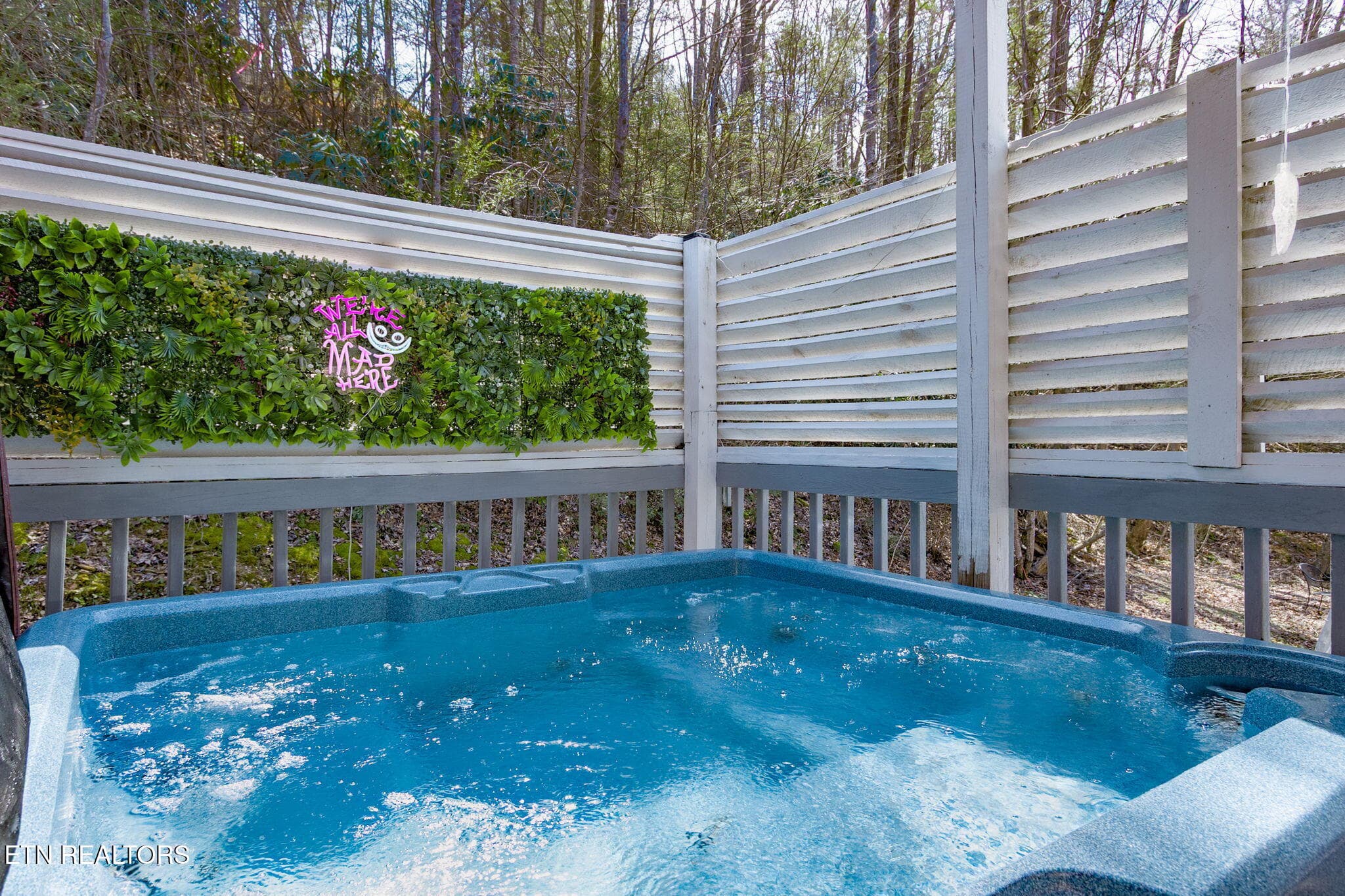41-web-or-mls-041--FULL - 4428 Grindstone Ridge Rd, Pigeon Forge, TN 37863
