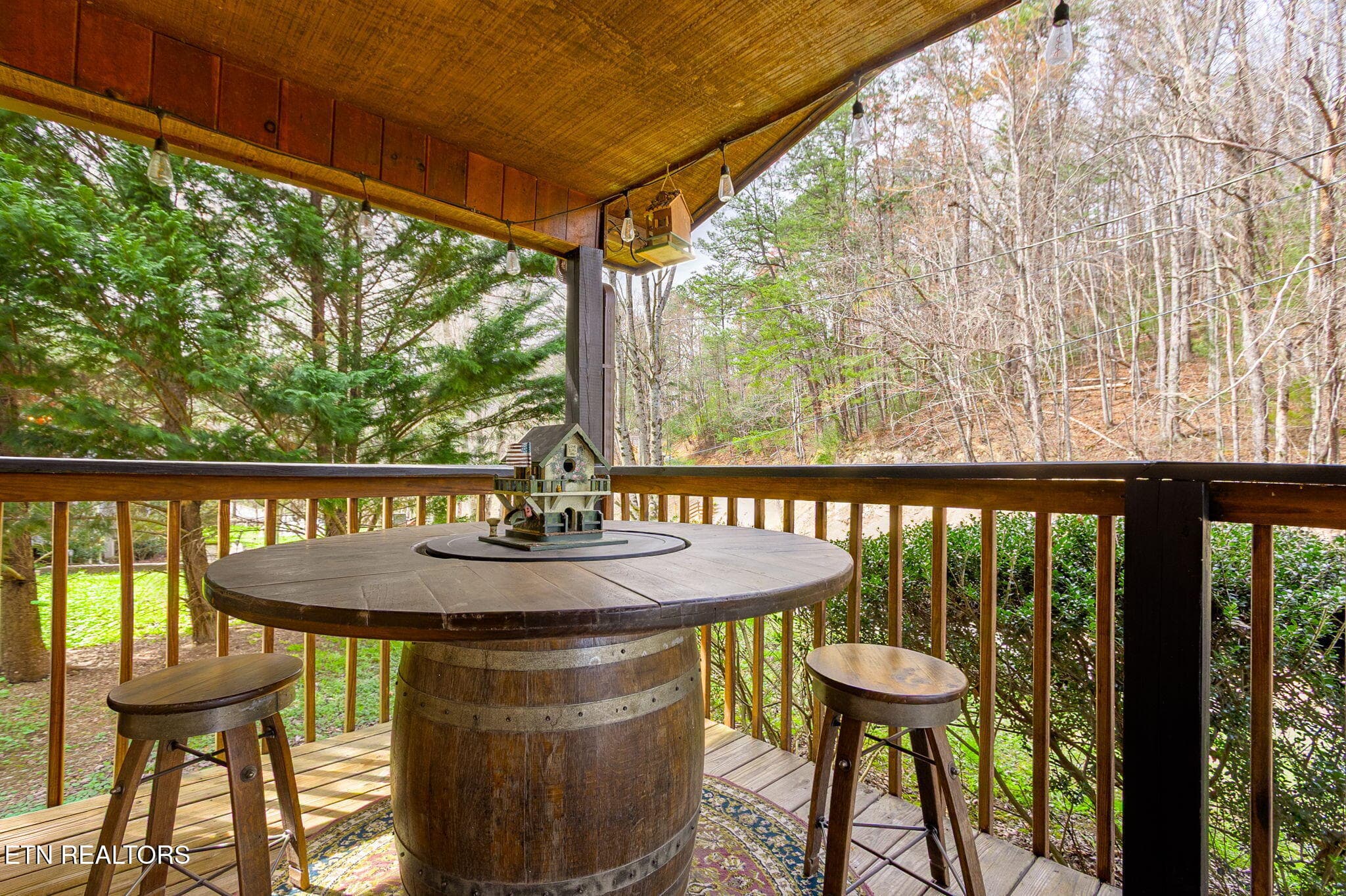 54-web-or-mls-054--FULL - 4428 Grindstone Ridge Rd, Pigeon Forge, TN 37863