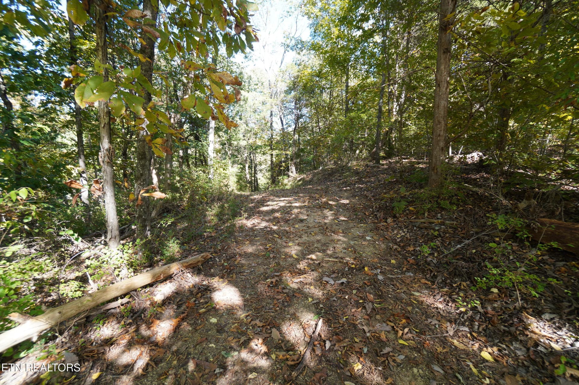 Brotherton Rd, Jefferson City, TN 37760