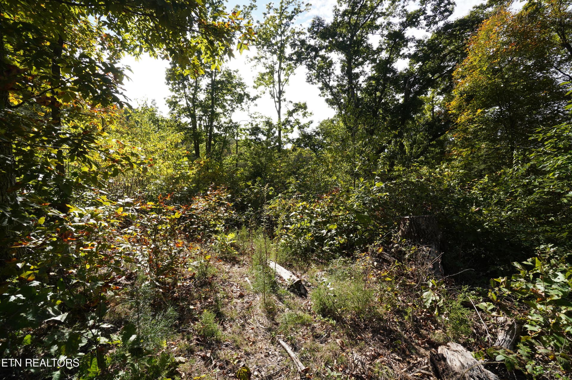 15 acs brotherton (2) - Brotherton Rd, Jefferson City, TN 37760