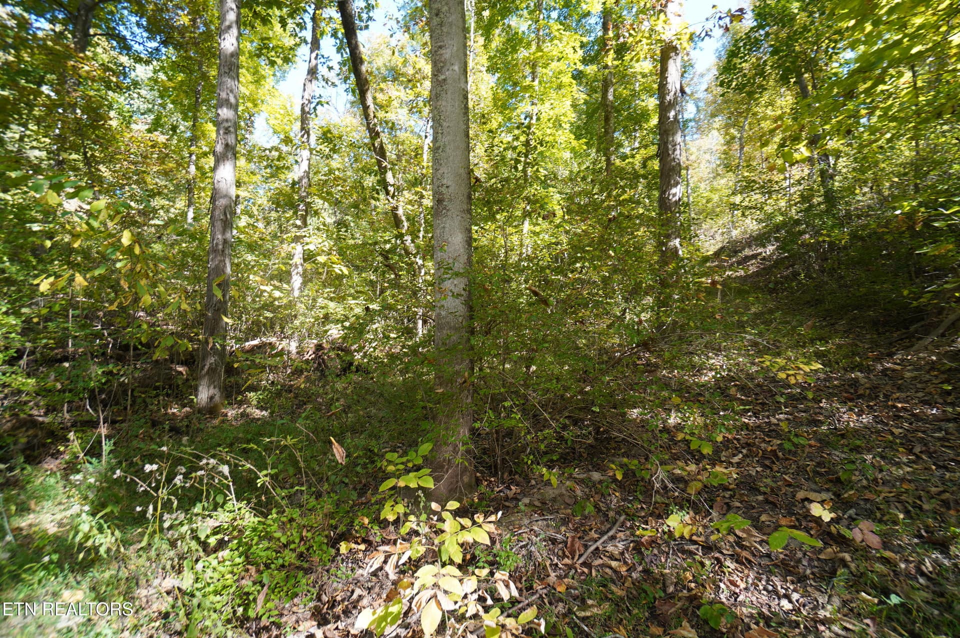 15 acs brotherton (4) - Brotherton Rd, Jefferson City, TN 37760