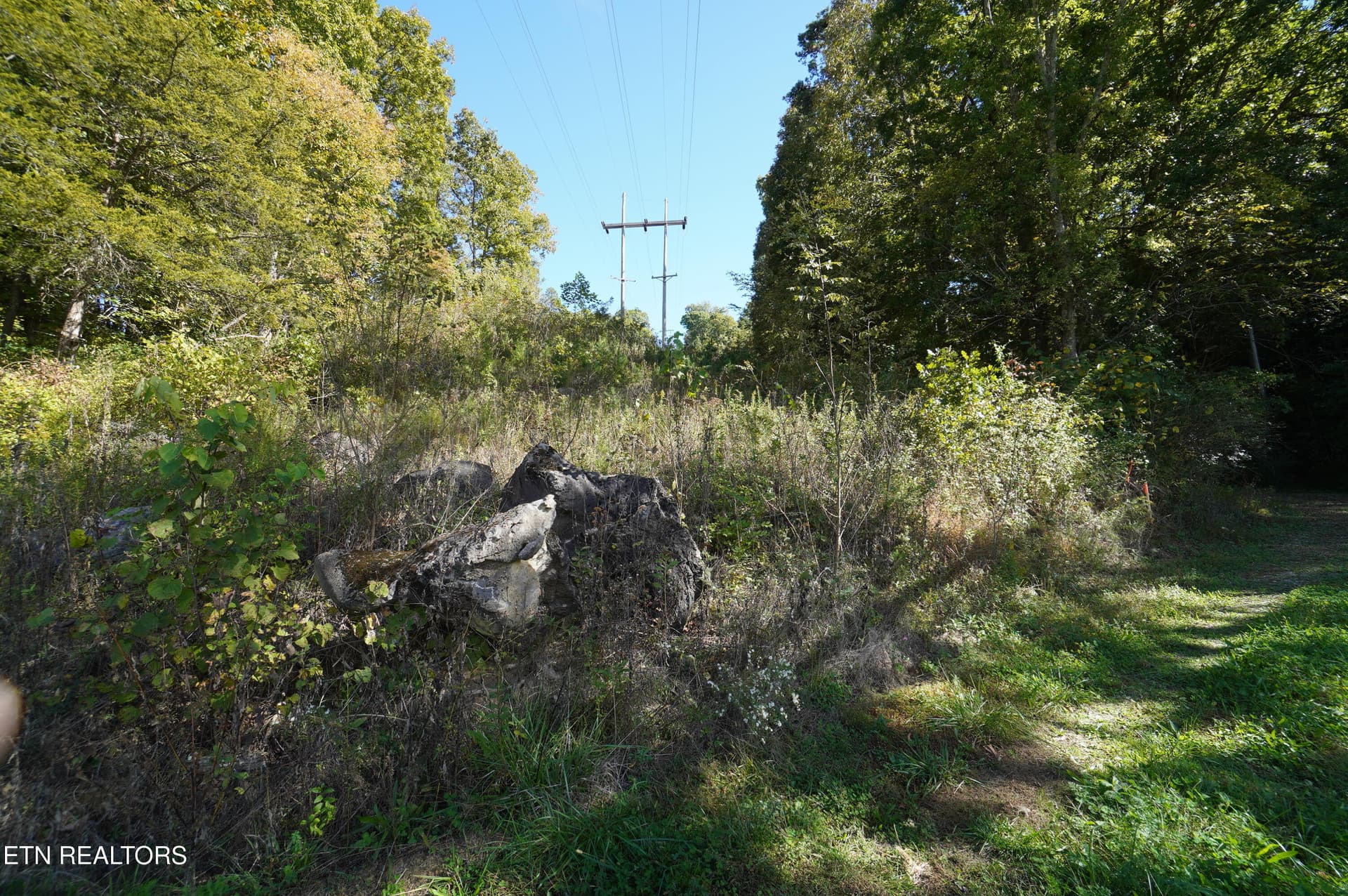 15 acs brotherton (5) - Brotherton Rd, Jefferson City, TN 37760