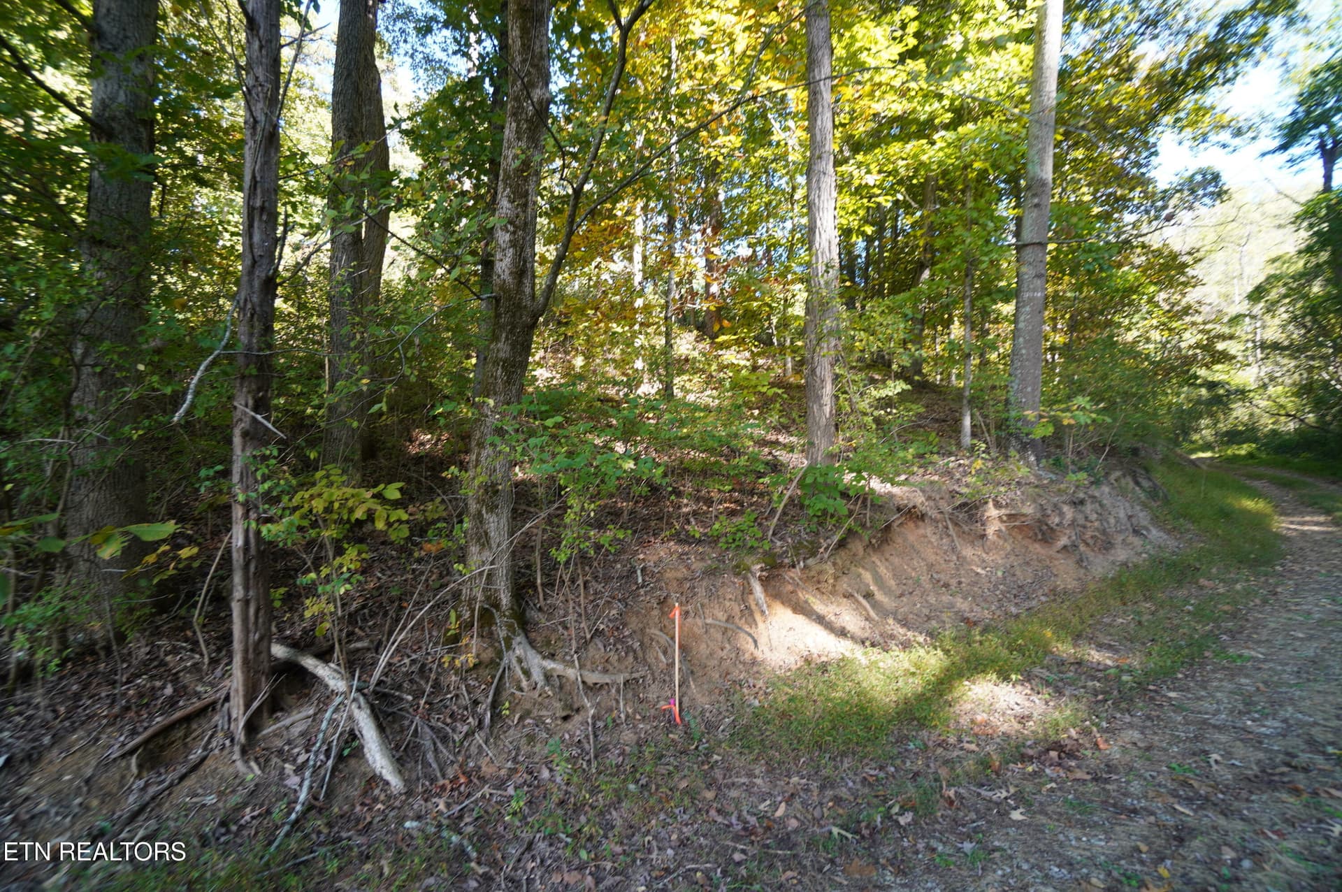 15 acs brotherton (6) - Brotherton Rd, Jefferson City, TN 37760