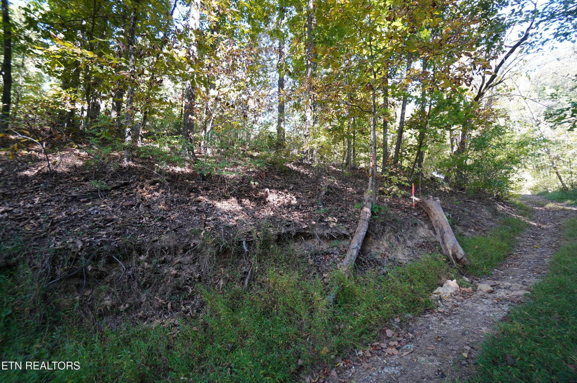 15 acs brotherton (7) - Brotherton Rd, Jefferson City, TN 37760