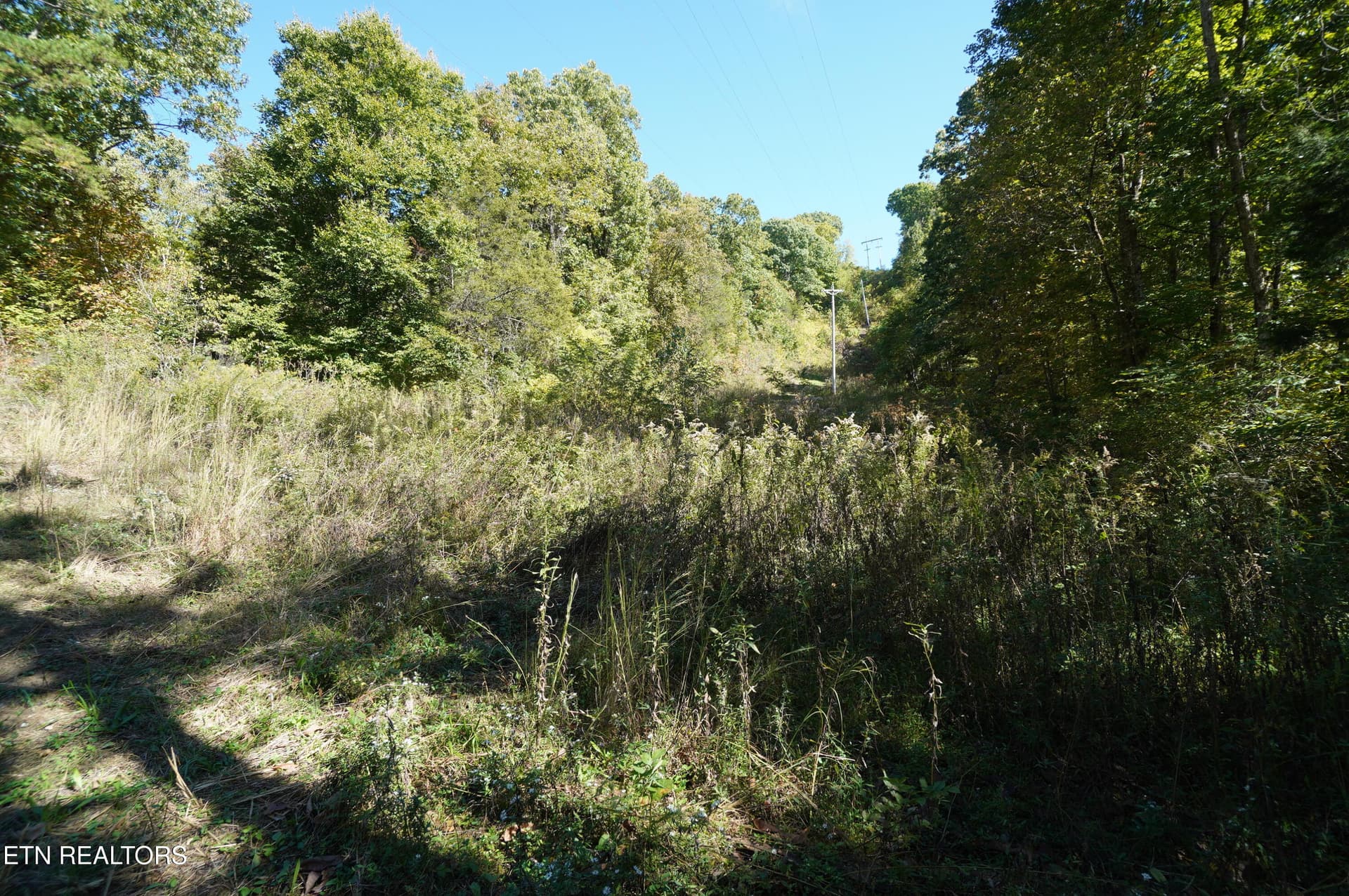15 acs brotherton (10) - Brotherton Rd, Jefferson City, TN 37760