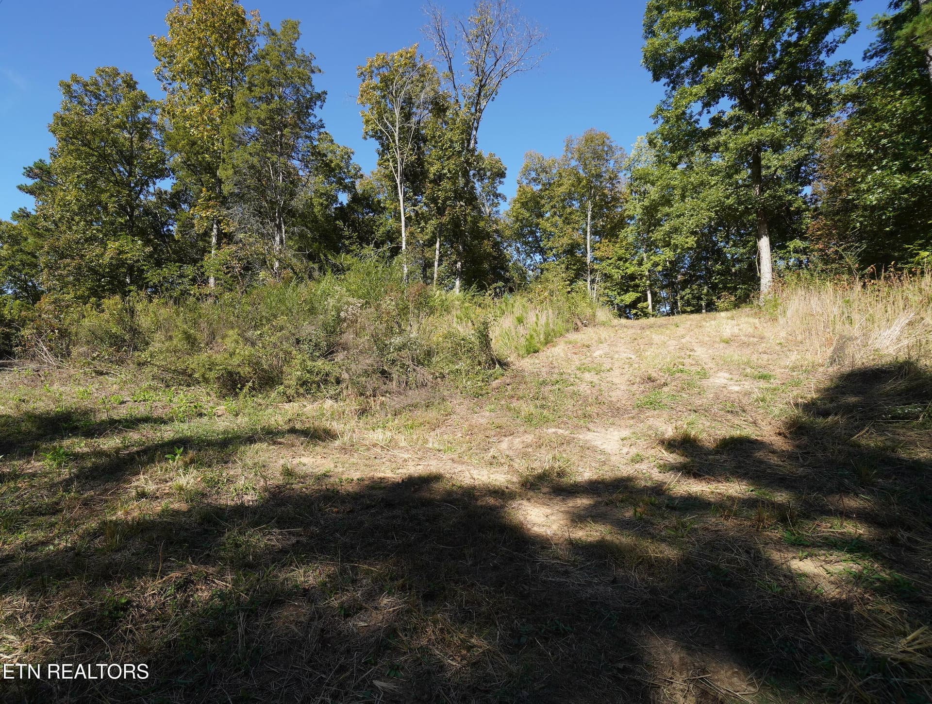 15 acs brotherton (11) - Brotherton Rd, Jefferson City, TN 37760