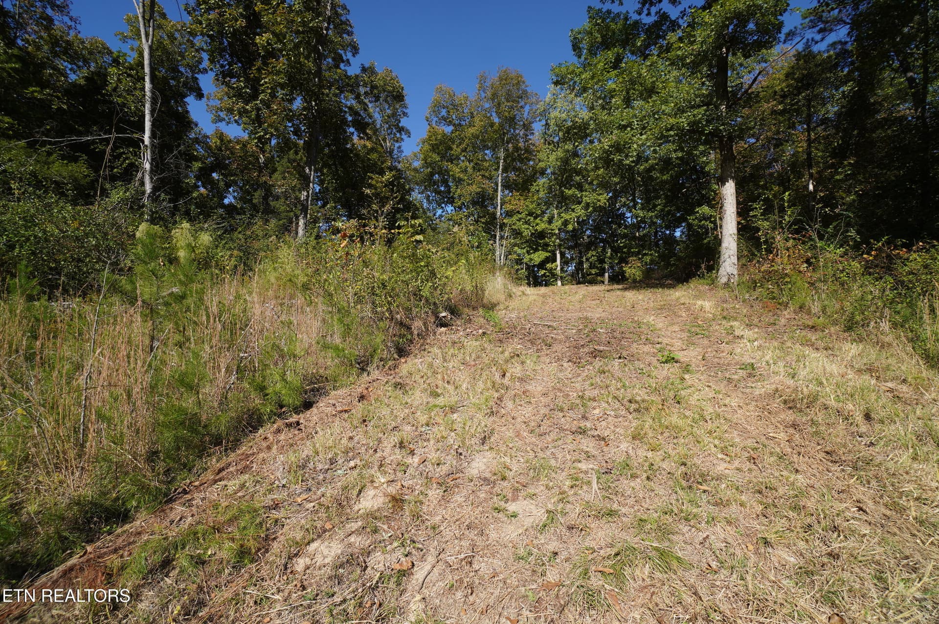 15 acs brotherton (12) - Brotherton Rd, Jefferson City, TN 37760