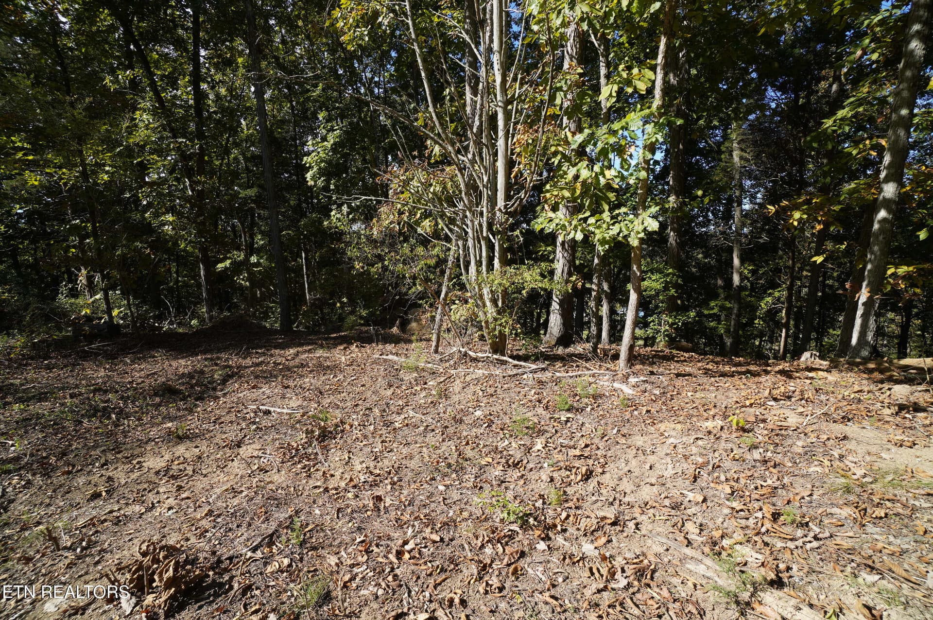 15 acs brotherton (14) - Brotherton Rd, Jefferson City, TN 37760