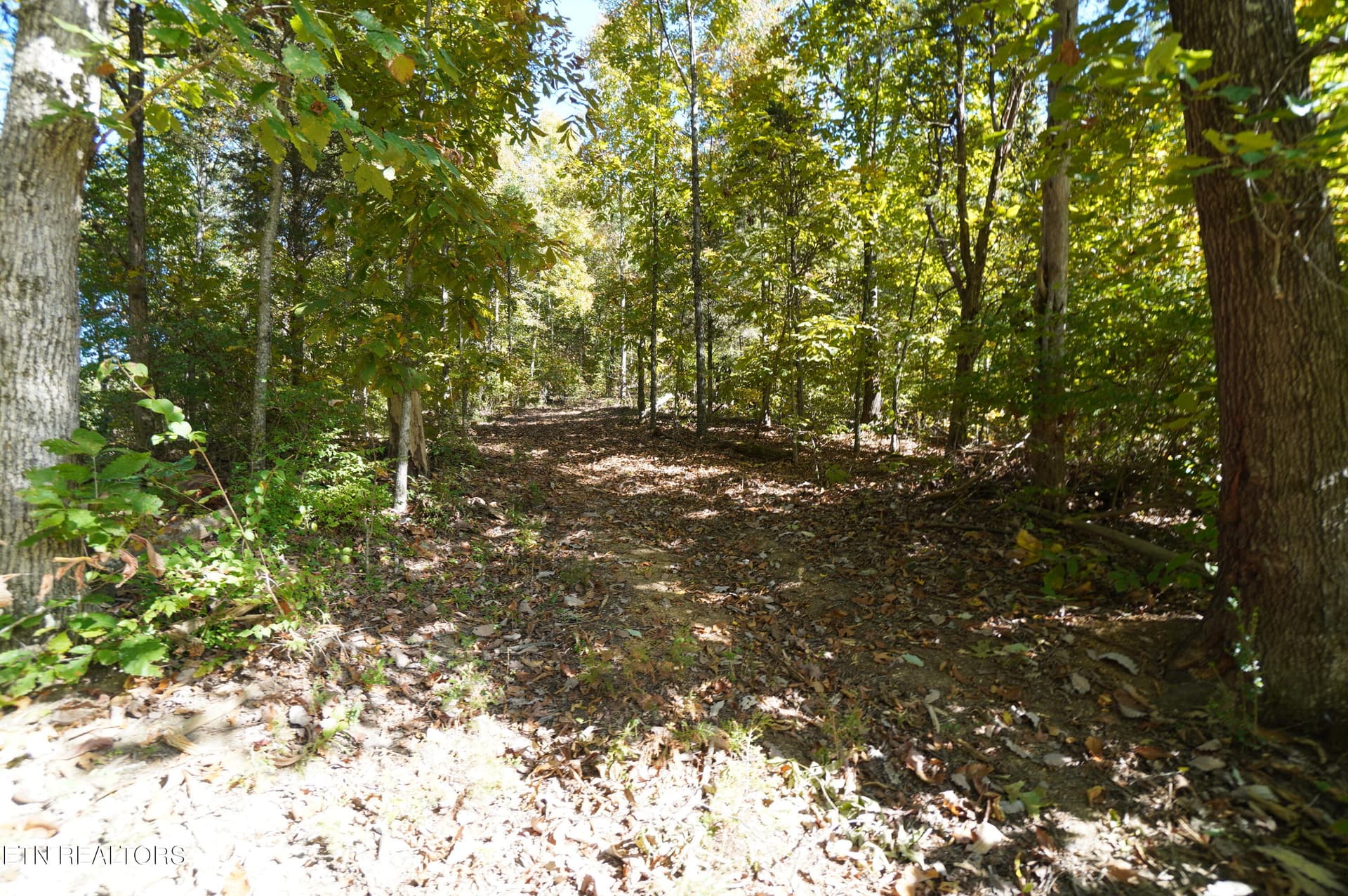 15 acs brotherton (15) - Brotherton Rd, Jefferson City, TN 37760
