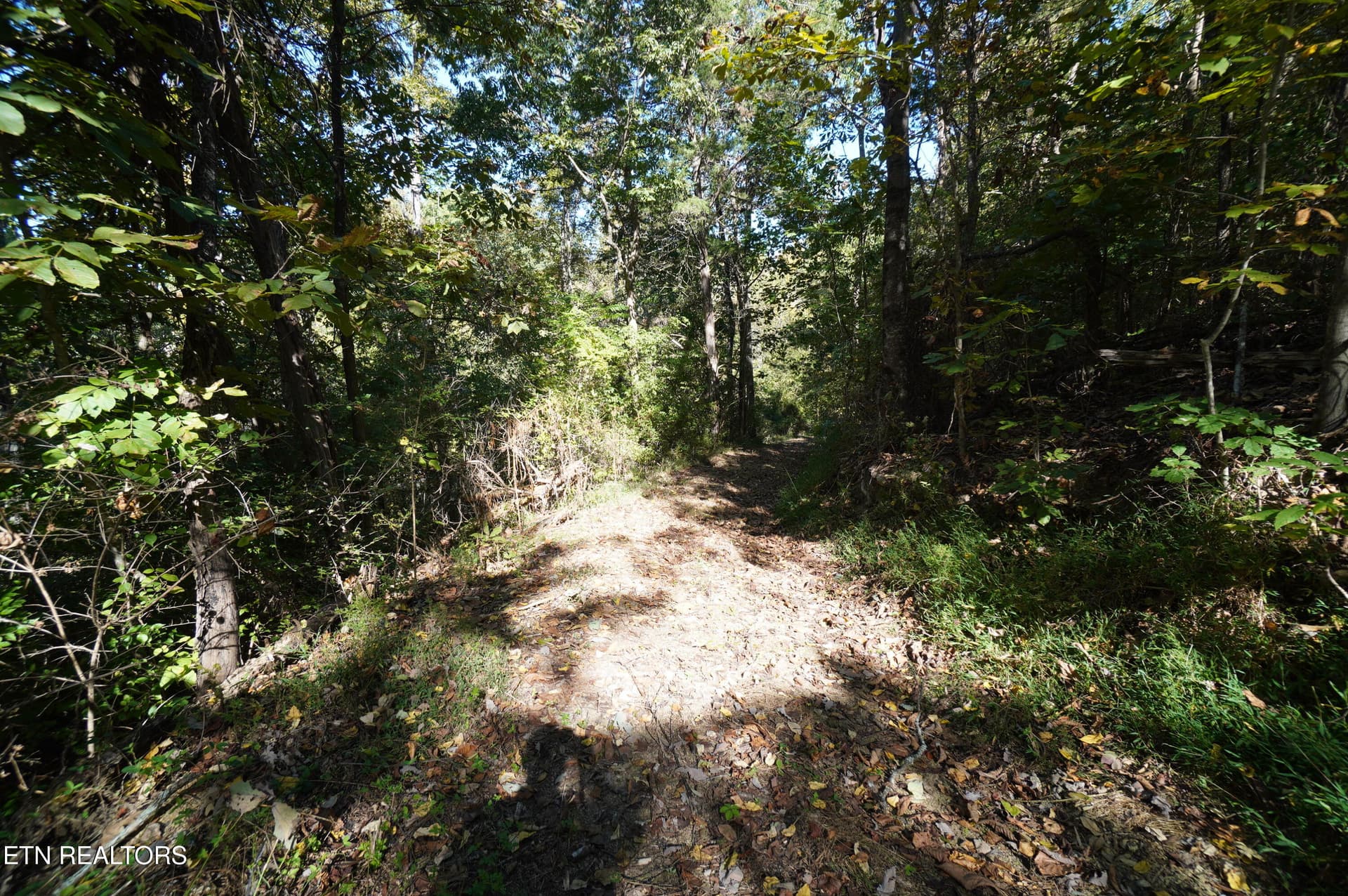15 acs brotherton (17) - Brotherton Rd, Jefferson City, TN 37760
