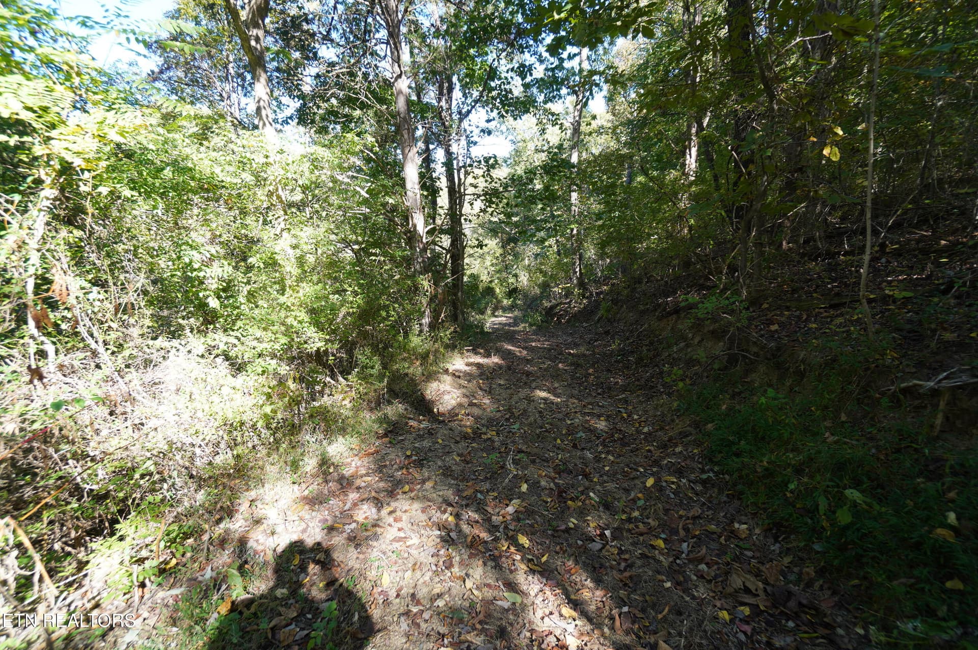 15 acs brotherton (18) - Brotherton Rd, Jefferson City, TN 37760