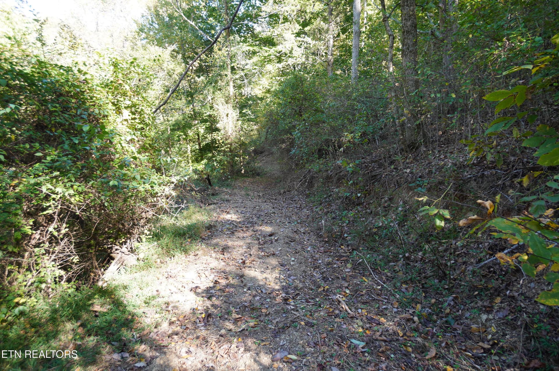 15 acs brotherton (20) - Brotherton Rd, Jefferson City, TN 37760
