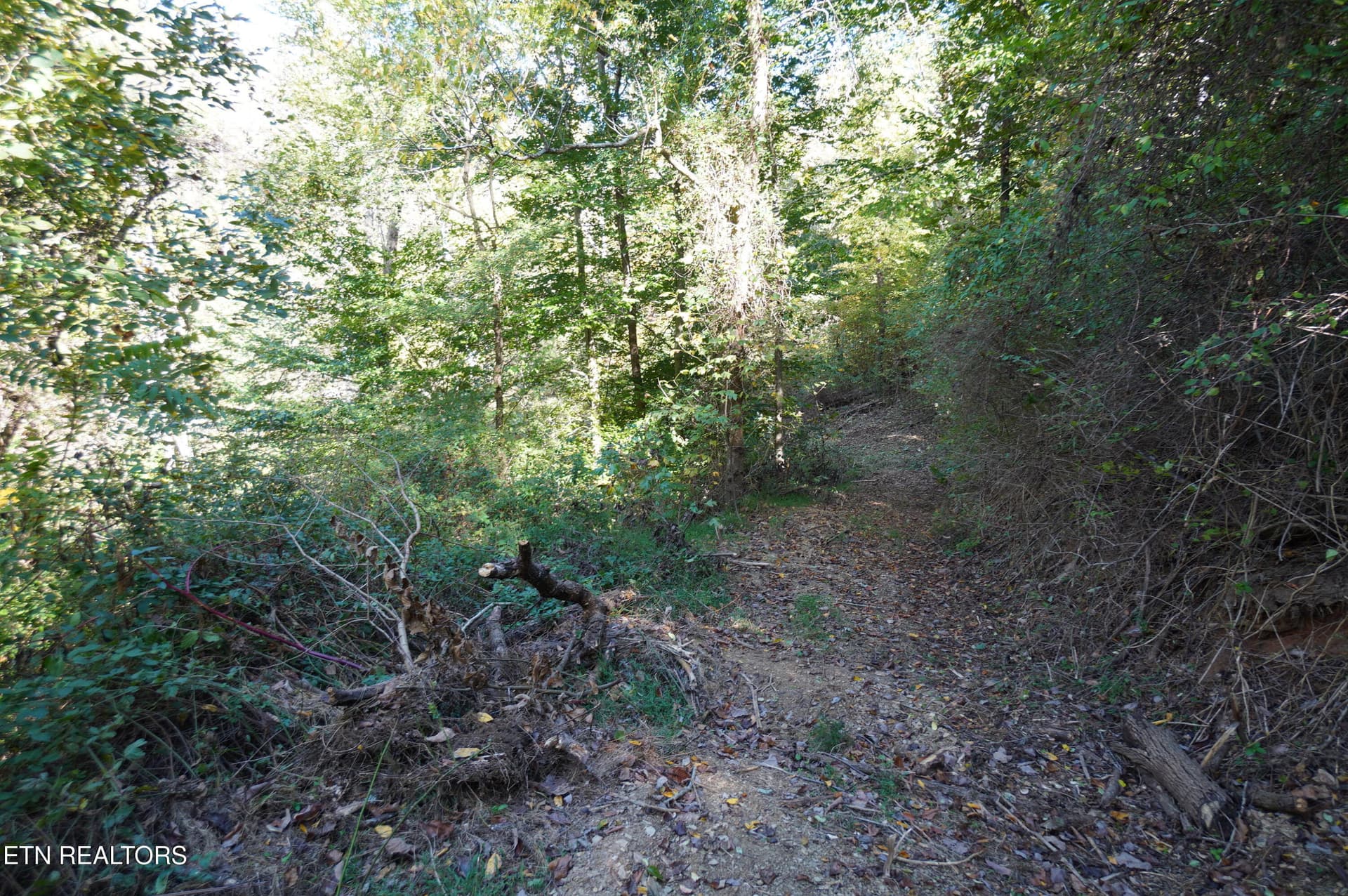 15 acs brotherton (21) - Brotherton Rd, Jefferson City, TN 37760