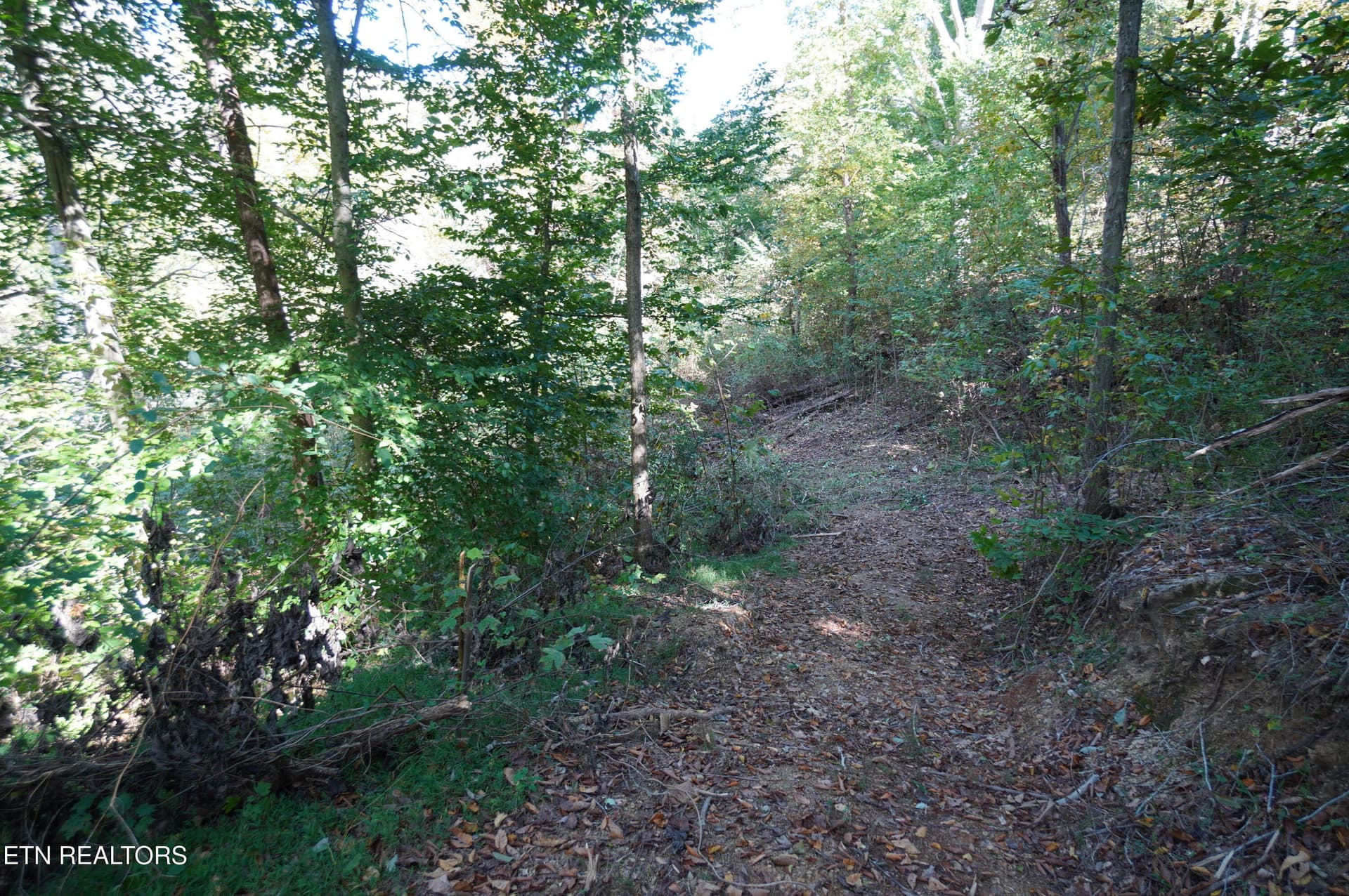 15 acs brotherton (22) - Brotherton Rd, Jefferson City, TN 37760