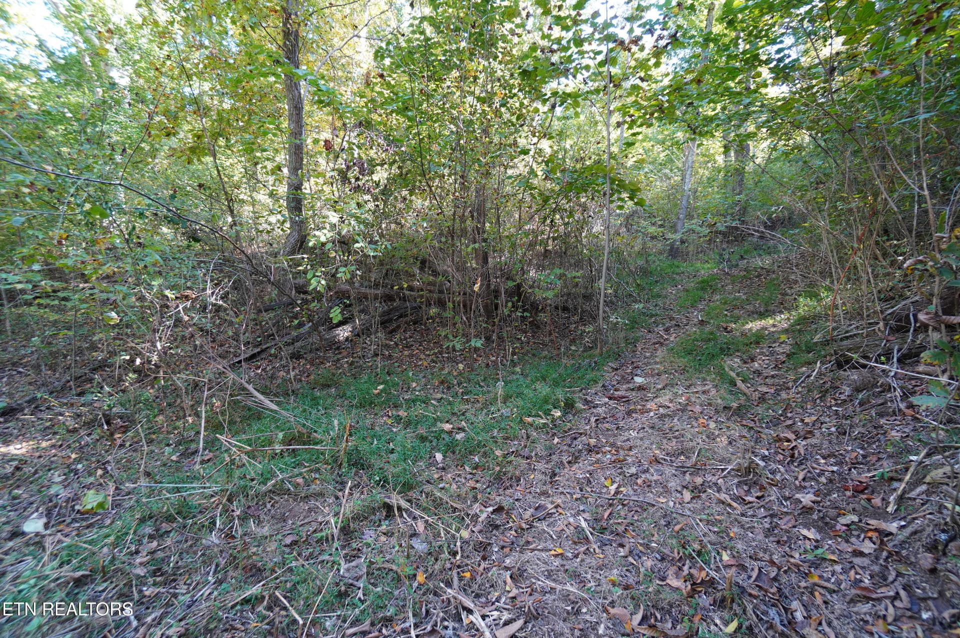 15 acs brotherton (23) - Brotherton Rd, Jefferson City, TN 37760