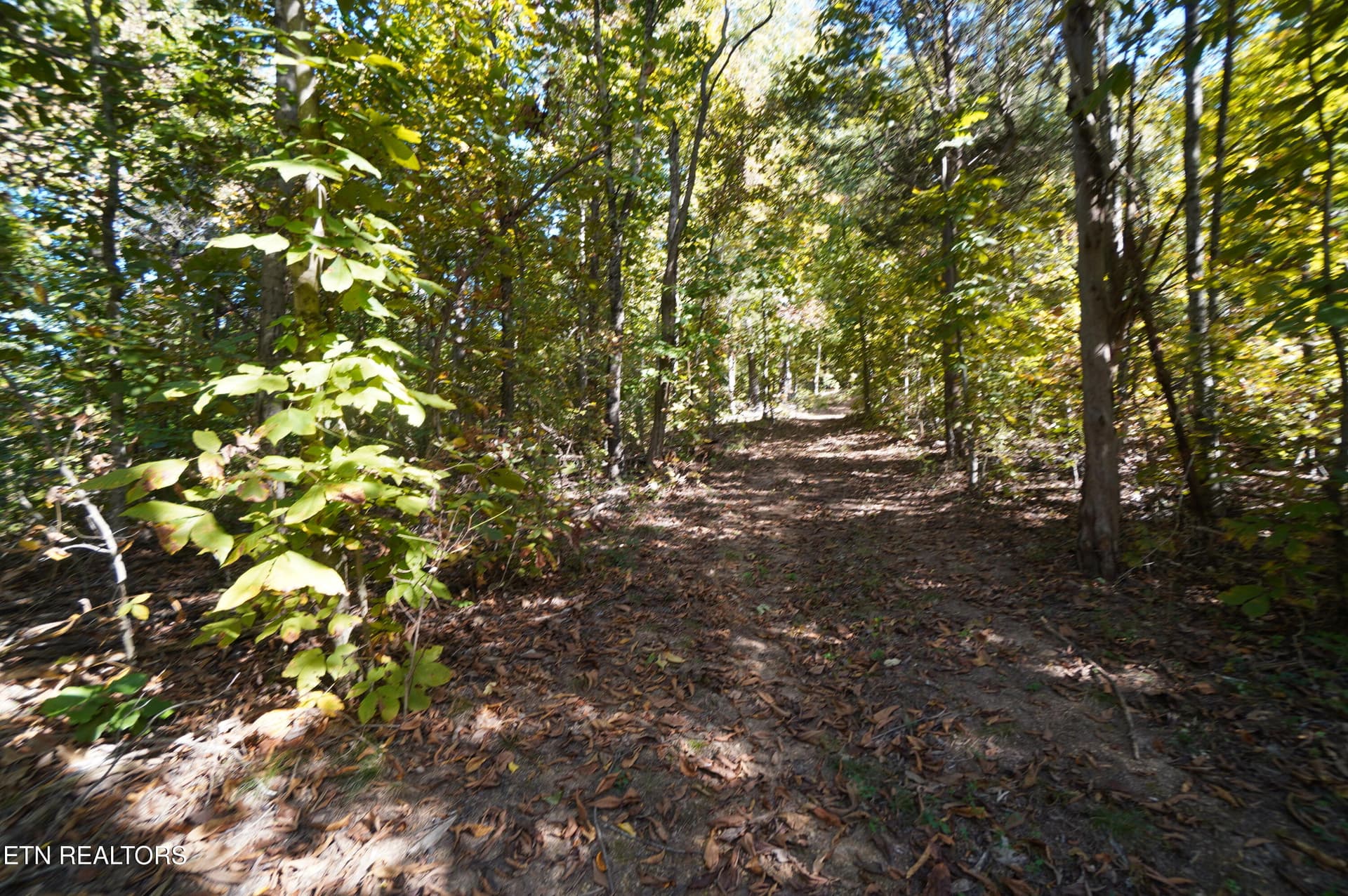 15 acs brotherton (25) - Brotherton Rd, Jefferson City, TN 37760