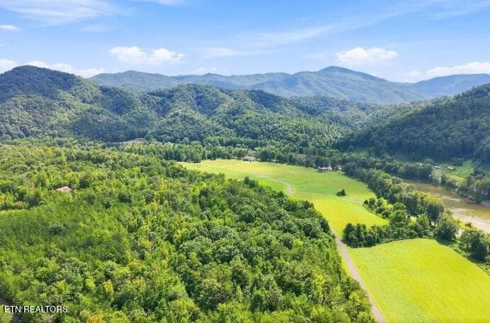 3799 River Rapids Way, Del Rio, TN 37727