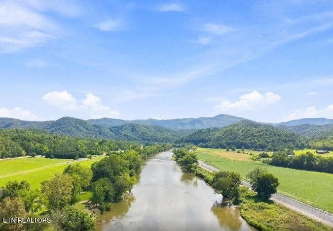 Screenshot (81) - 3799 River Rapids Way, Del Rio, TN 37727