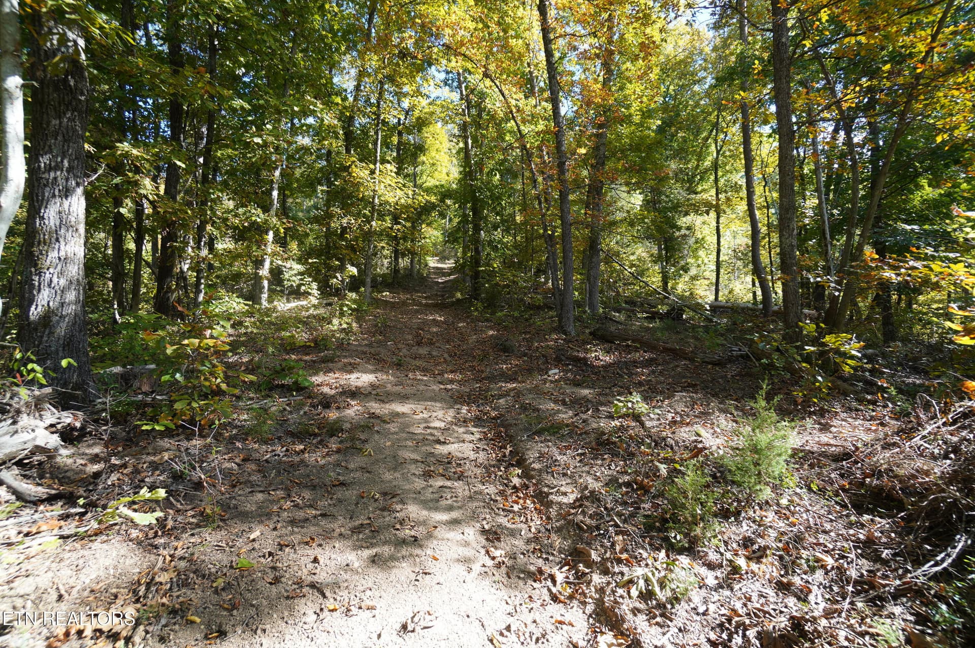 15 acs brotherton (27) - Brotherton Rd, Jefferson City, TN 37760