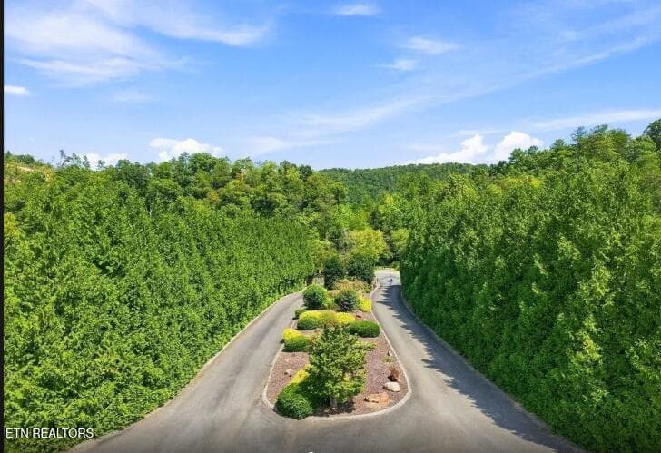 Screenshot (85) - 3799 River Rapids Way, Del Rio, TN 37727