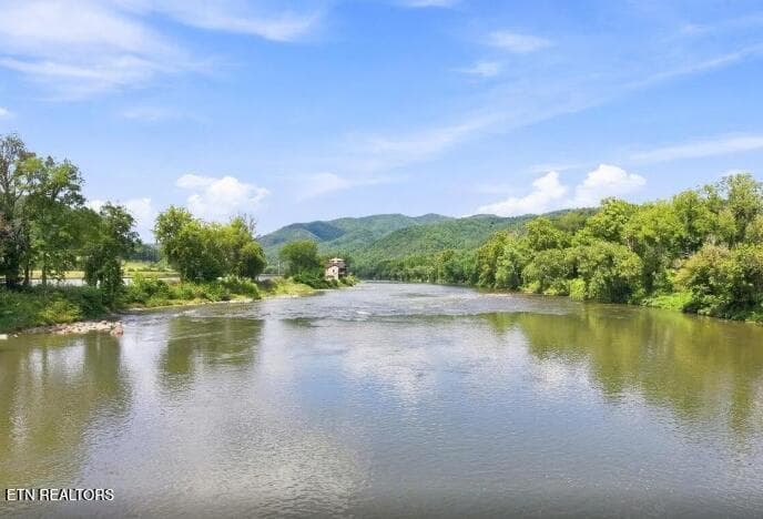 Screenshot (87) - 3799 River Rapids Way, Del Rio, TN 37727