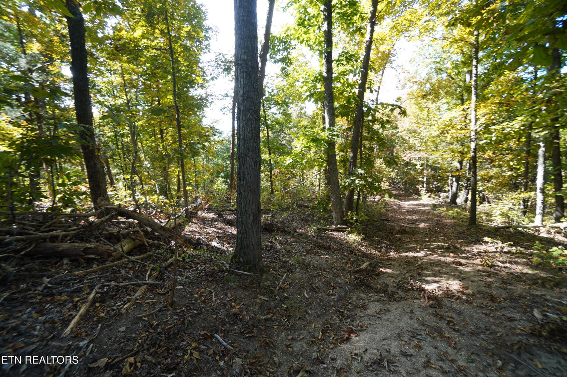 15 acs brotherton (29) - Brotherton Rd, Jefferson City, TN 37760