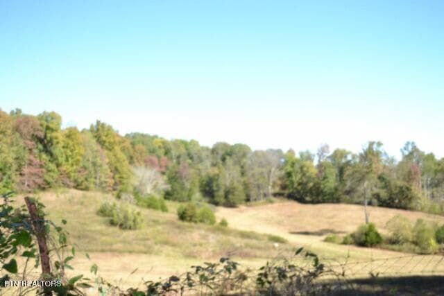 DSC_0007 - 10ac Bob Dennings Rd, Allons, TN 38541