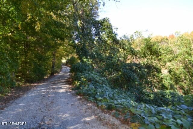 DSC_0013 - 10ac Bob Dennings Rd, Allons, TN 38541