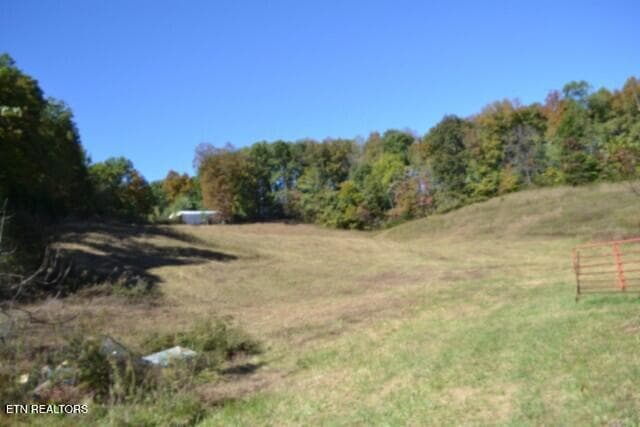DSC_0020 - 10ac Bob Dennings Rd, Allons, TN 38541