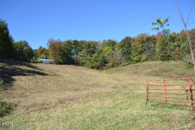 DSC_0024 - 10ac Bob Dennings Rd, Allons, TN 38541
