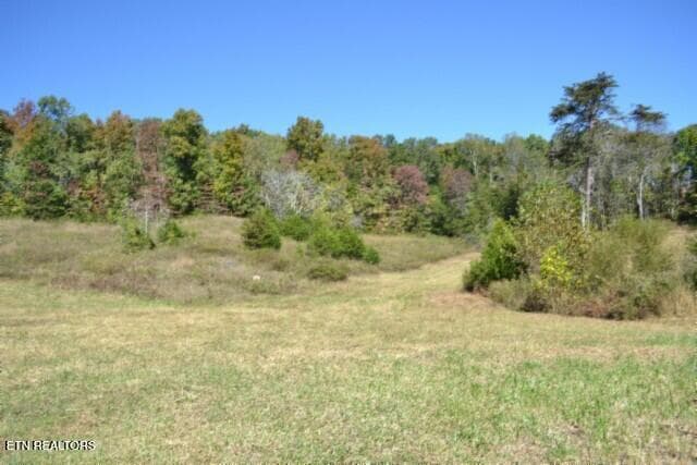 DSC_0026 - 10ac Bob Dennings Rd, Allons, TN 38541