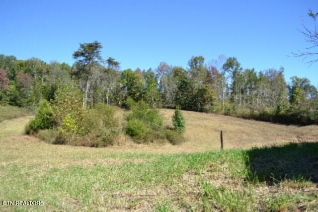 DSC_0028 - 10ac Bob Dennings Rd, Allons, TN 38541