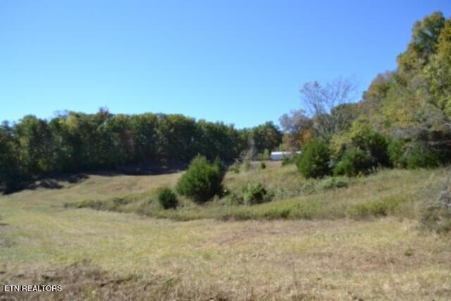 DSC_0039 - 10ac Bob Dennings Rd, Allons, TN 38541