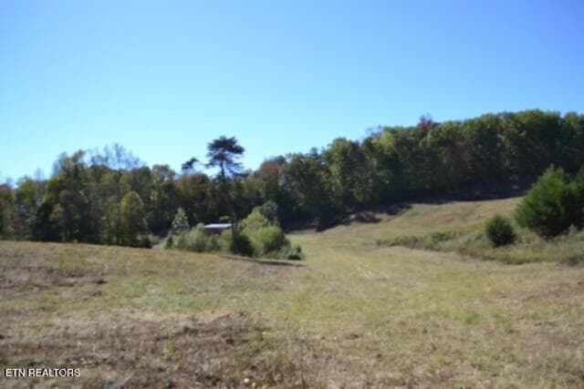 DSC_0040 - 10ac Bob Dennings Rd, Allons, TN 38541