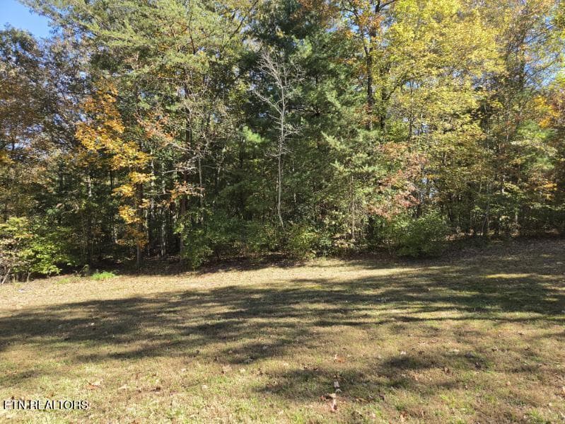 image000002 (5) - 1575 Genesis Rd, Lancing, TN 37770