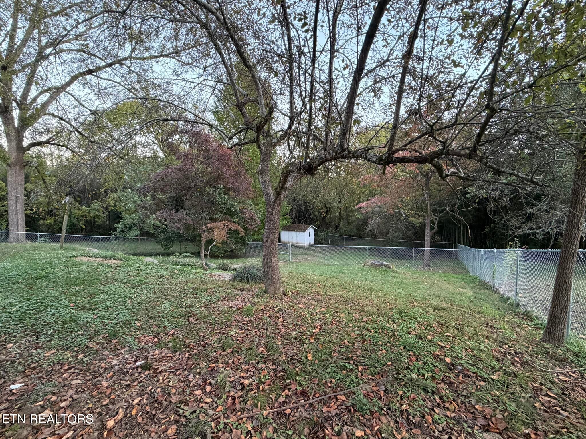 IMG_3069 - 115 Revere Circle, Oak Ridge, TN 37830