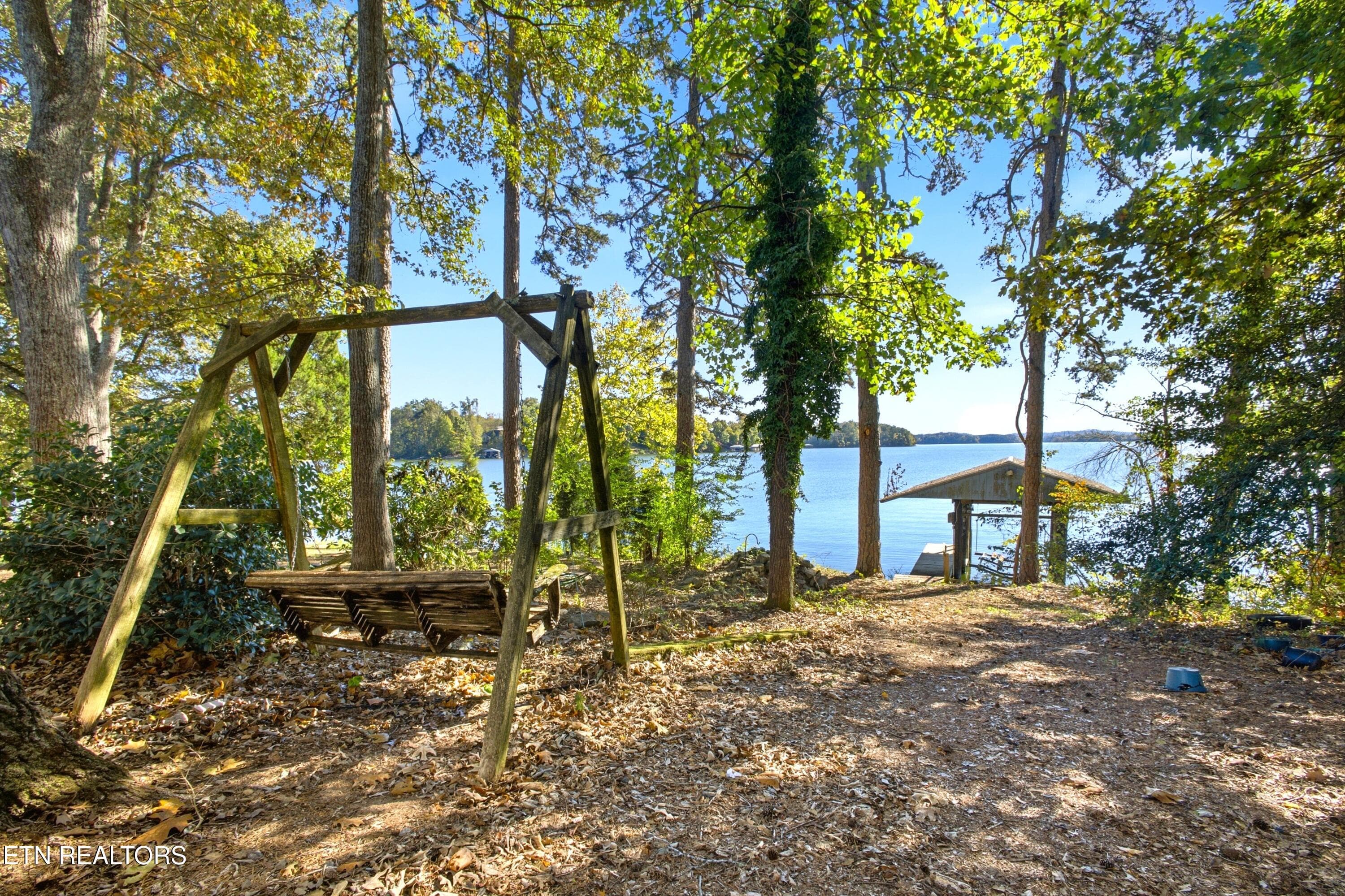 SPOT0259.jpg view - 761 Toestring Cove Rd, Spring City, TN 37381