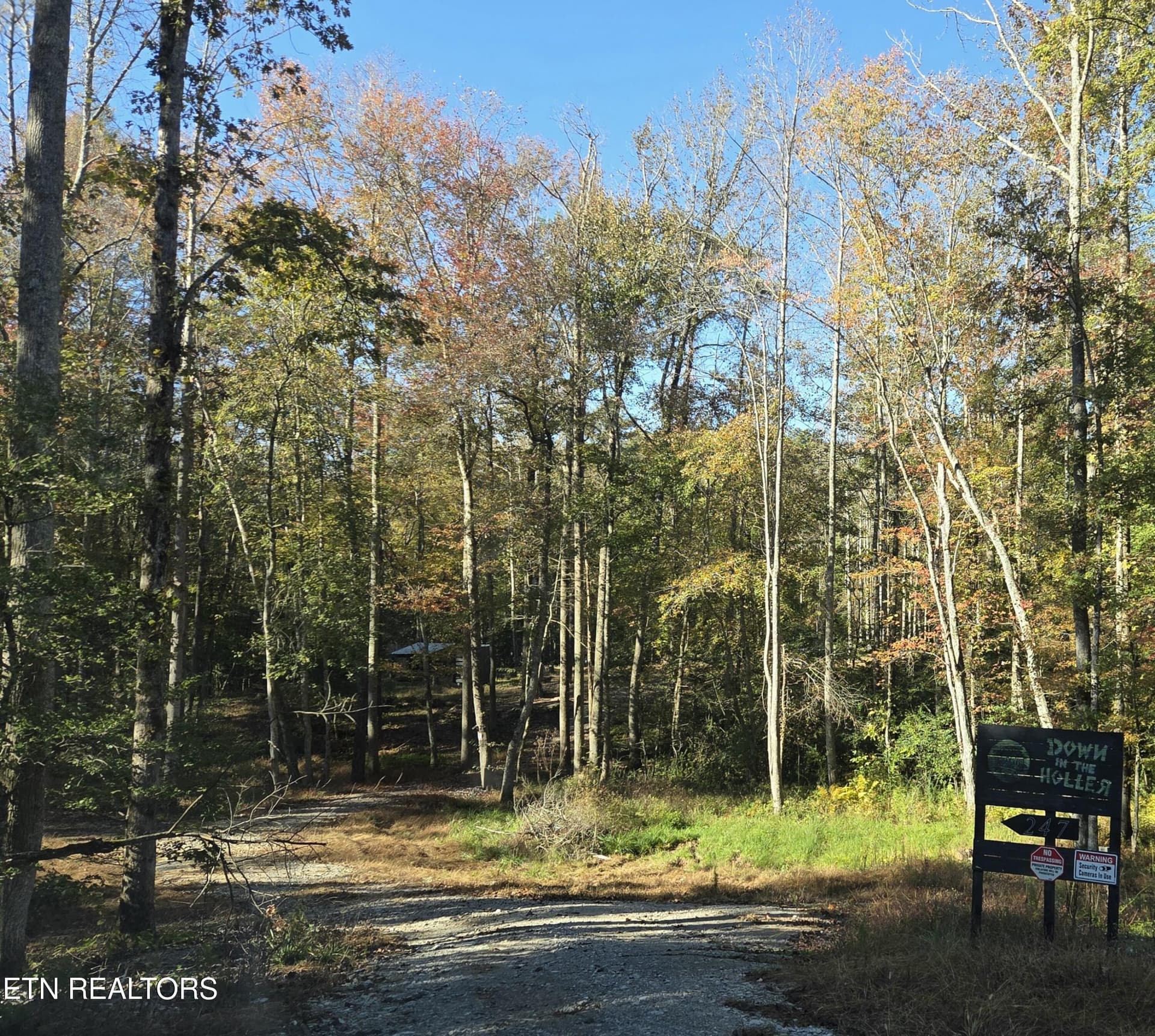 247 Copperhead Rd, Oakdale, TN 37829