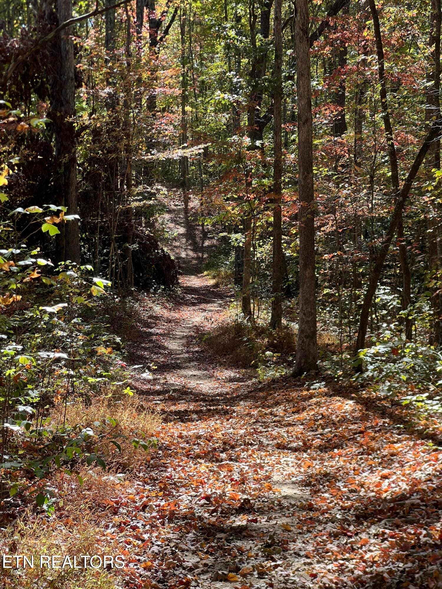 IMG_4006 - 1230 Darrow Ridge Rd, Jamestown, TN 38556