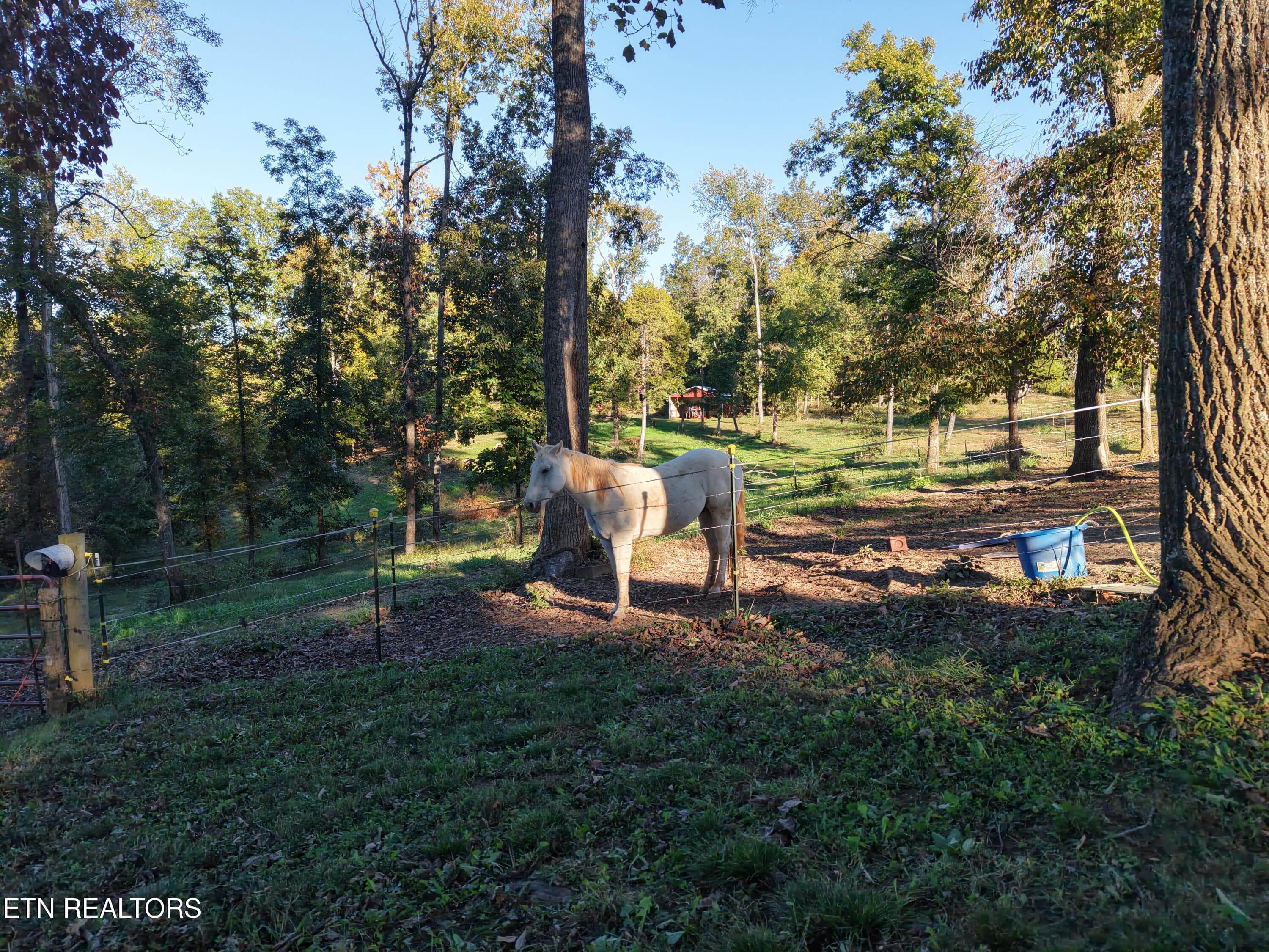 DJI_20261024051216_0011_D - 145 Linwood Drive, Sweetwater, TN 37874